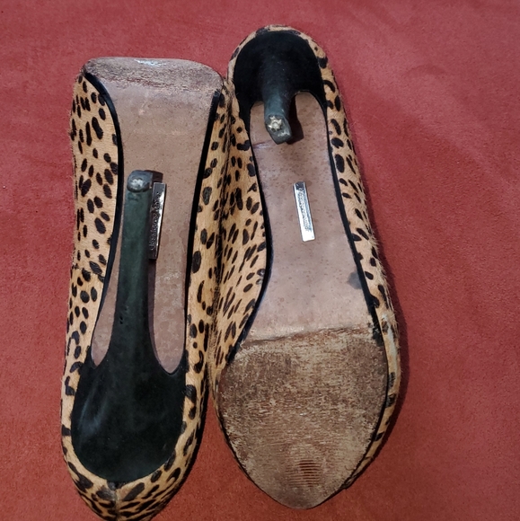 Leopard, Hidden Platform Beauties - Picture 5 of 6